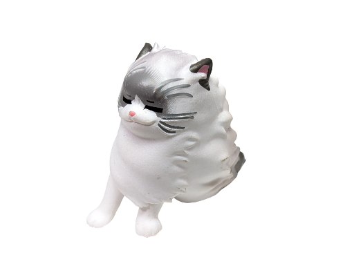 Windy Cat