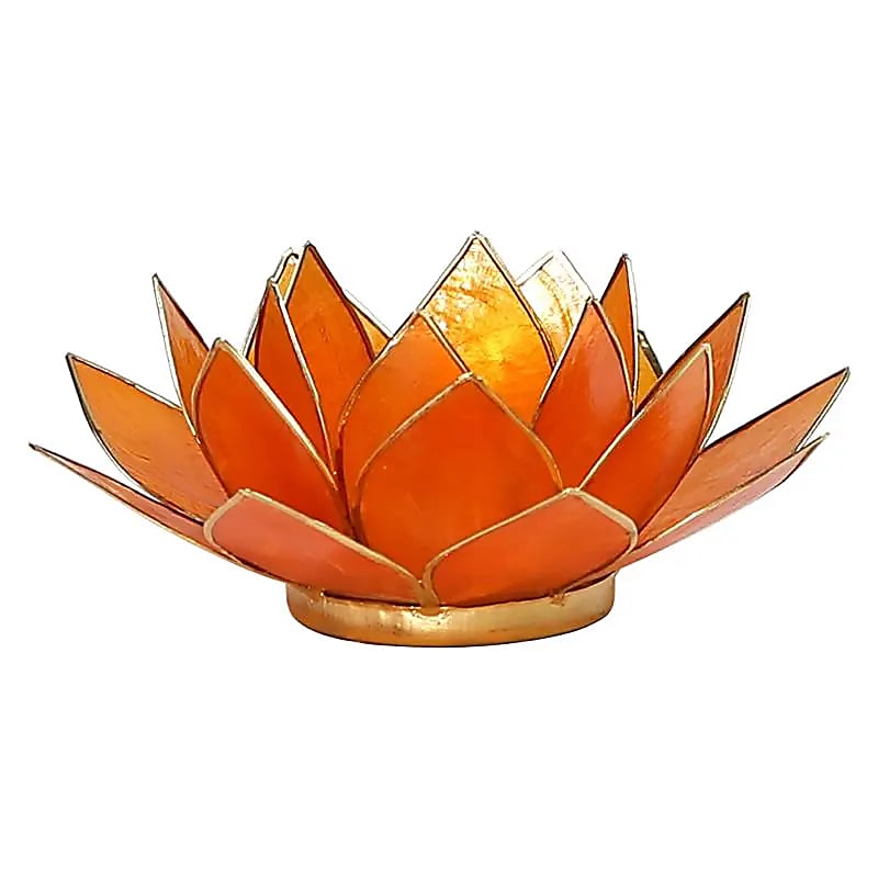 Lotus Chakra Kaarshouder