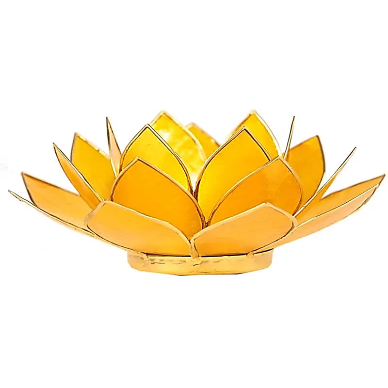 Lotus Chakra Kaarshouder