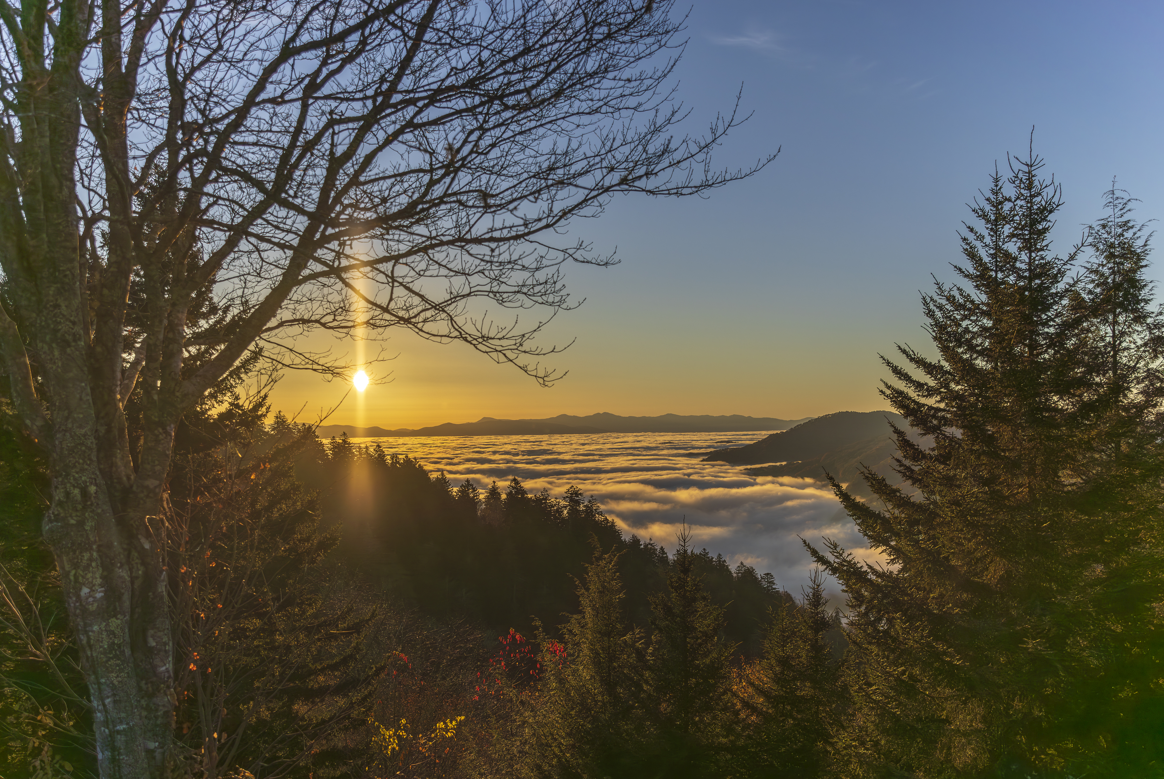 Mountain Sunrise Canvas Print