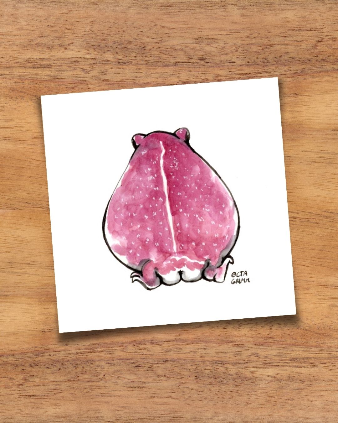 Froschkarte "Magentrud"