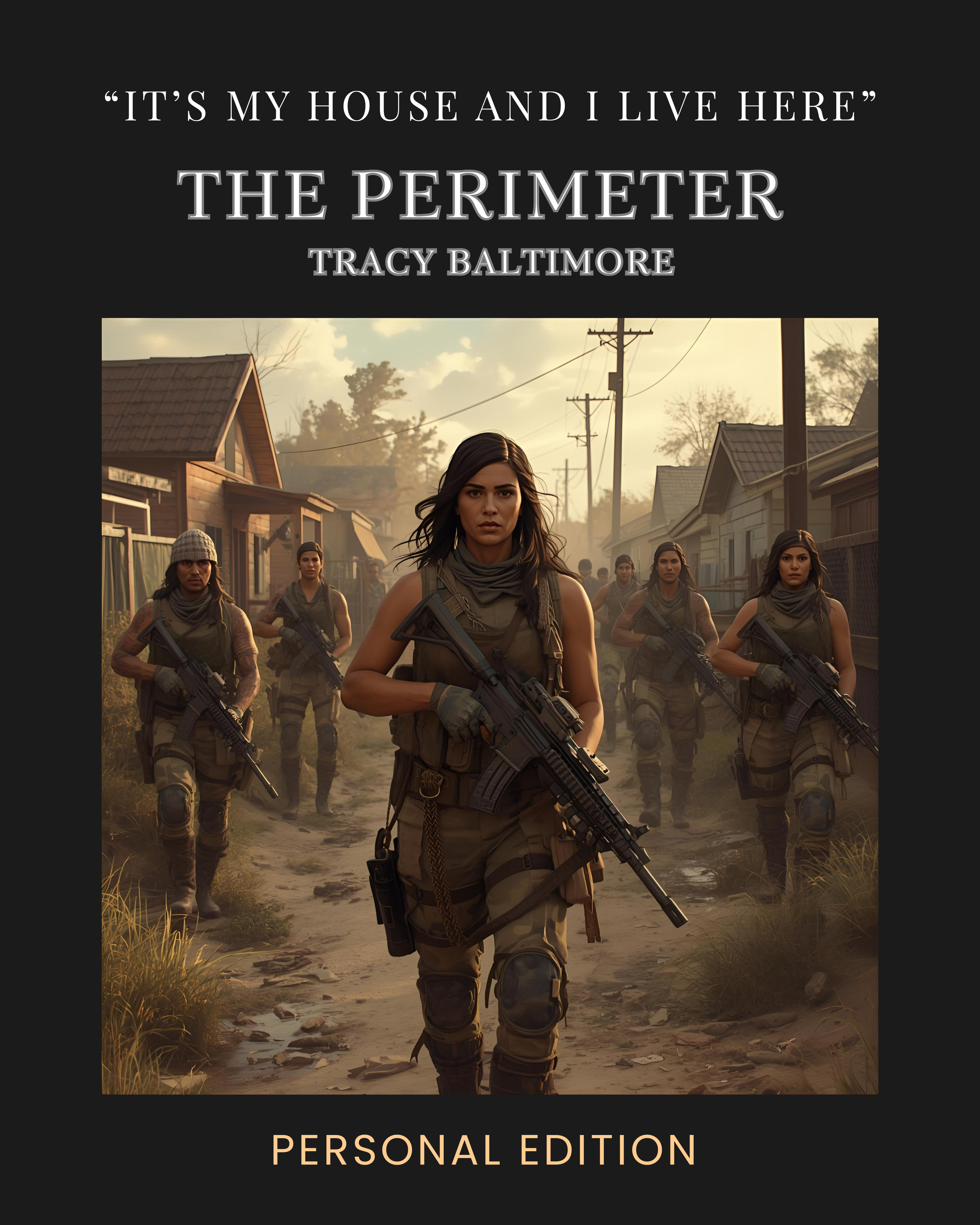 The Perimeter: Personal Edition