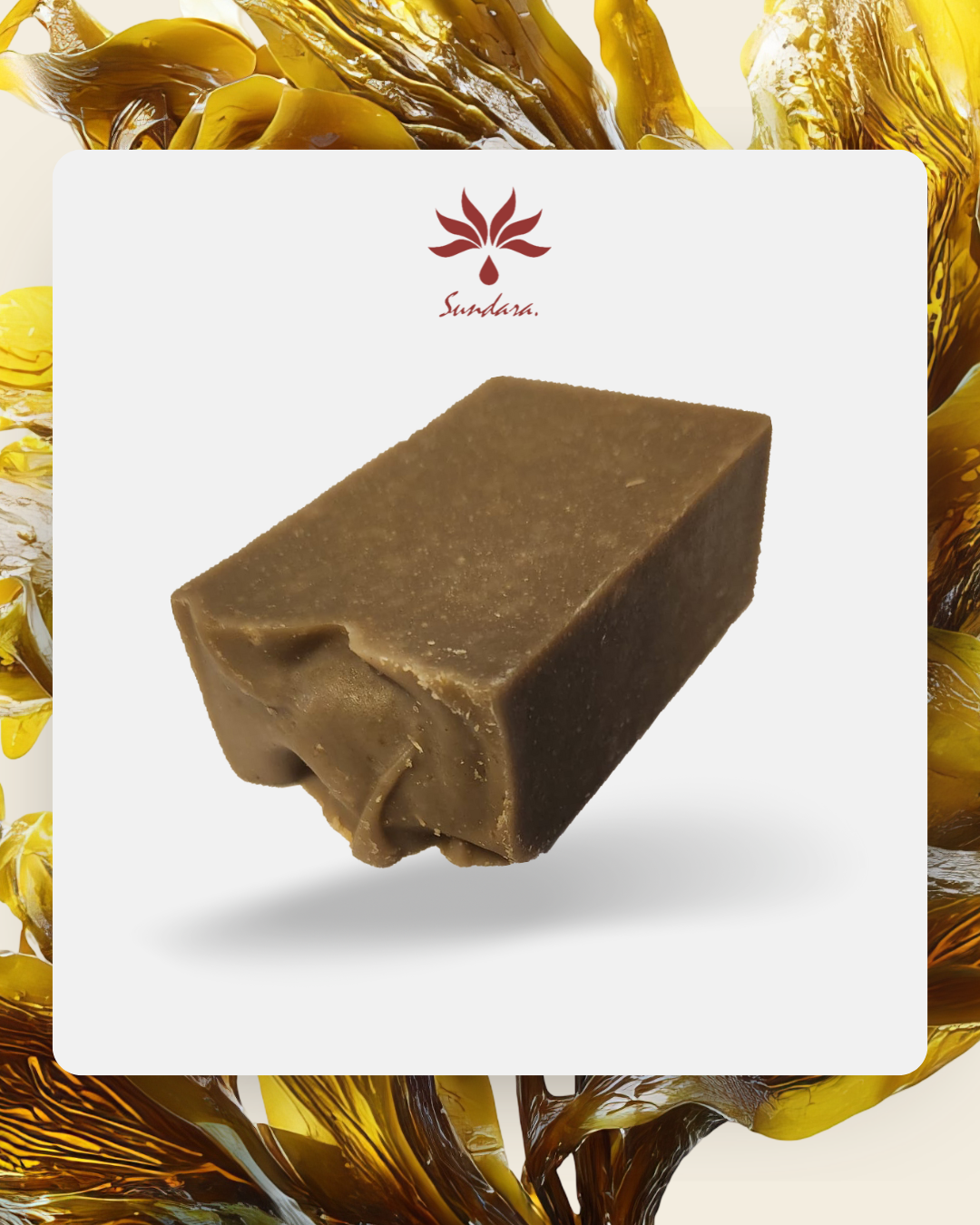 Sea Moss Soap Bar