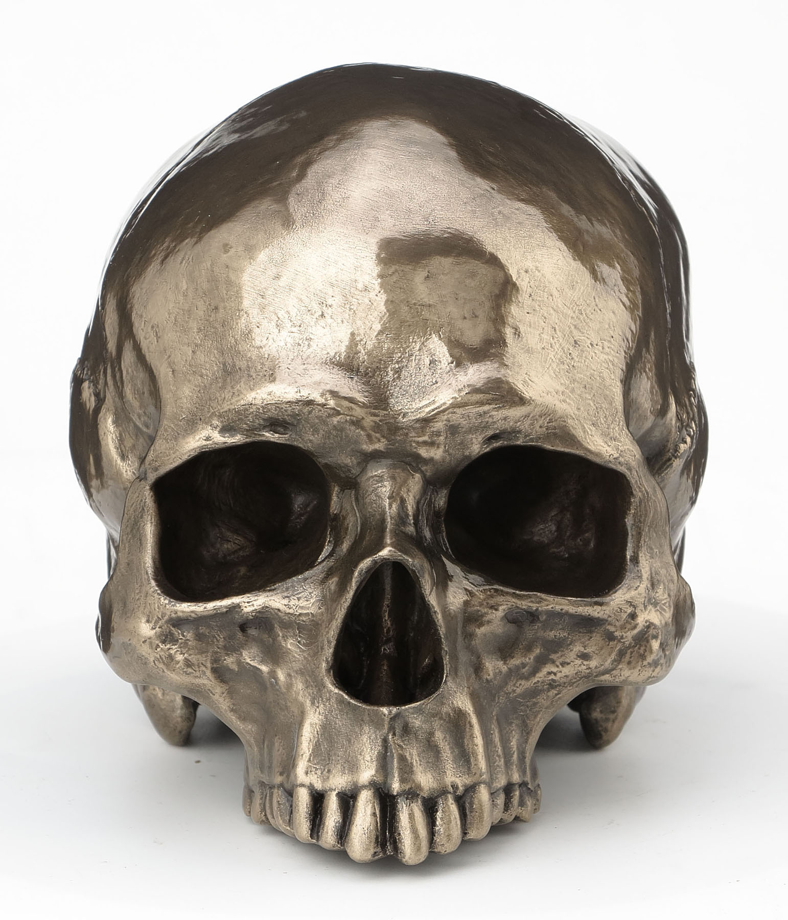 HUMAN SKULL (JAWLESS)
