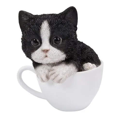 Black & White Tea Cup Kitten