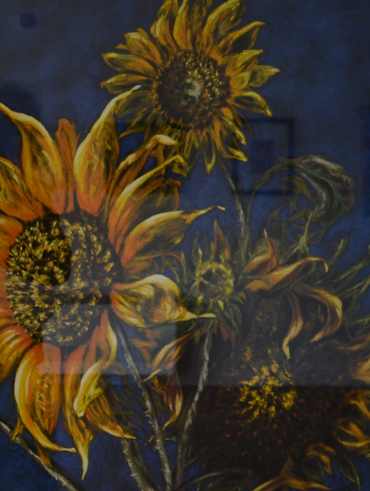 Jenny Magee  |  Sunflowers