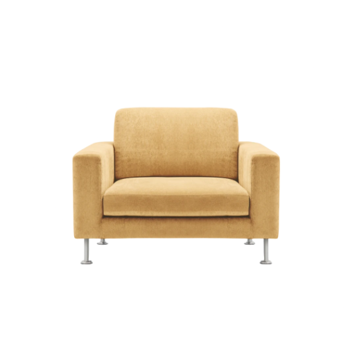 Limpieza Sillón
