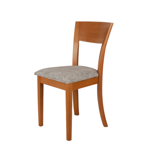 Limpieza Silla