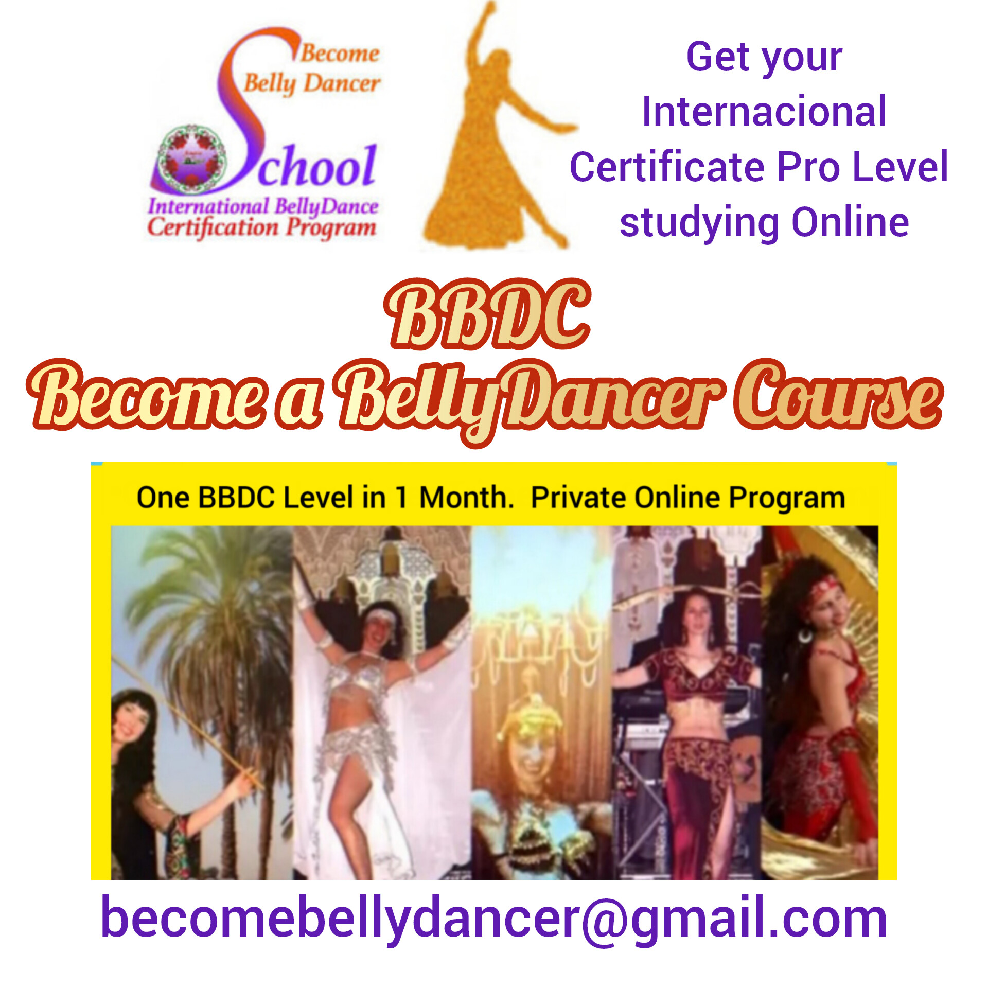 18h BBDC Pro Level Online Private BellyDance Intensive Course. One month program or 3 months program? You choose. 