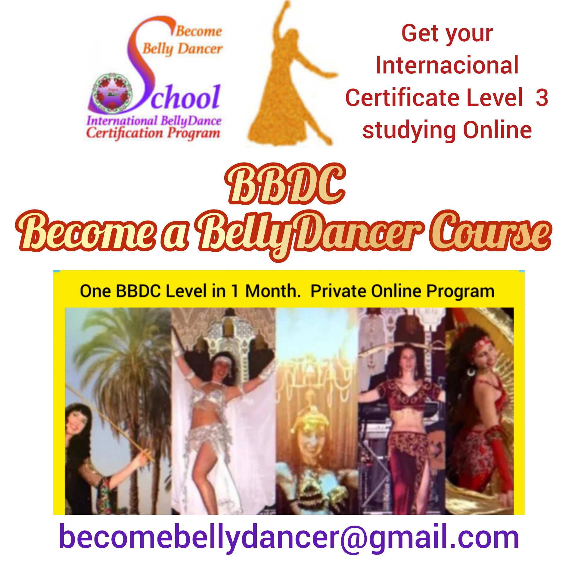 18h BBDC Level 3 Online Private BellyDance Course. One month program or 3 months program? You choose. 