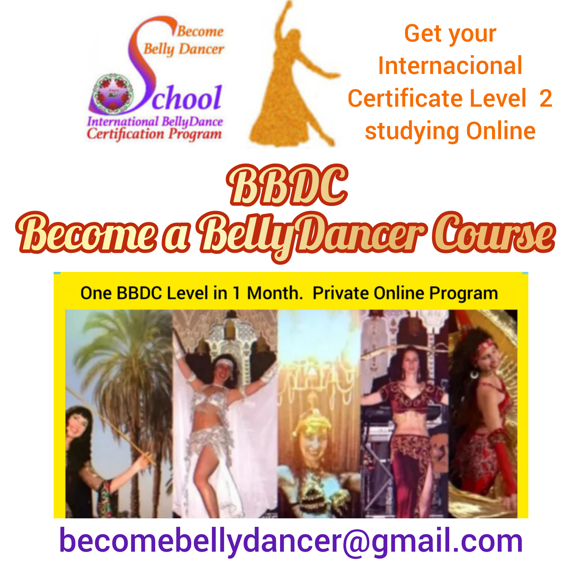 18h BBDC Level 2 Online Private BellyDance Course. One month program or 3 months program? You choose.