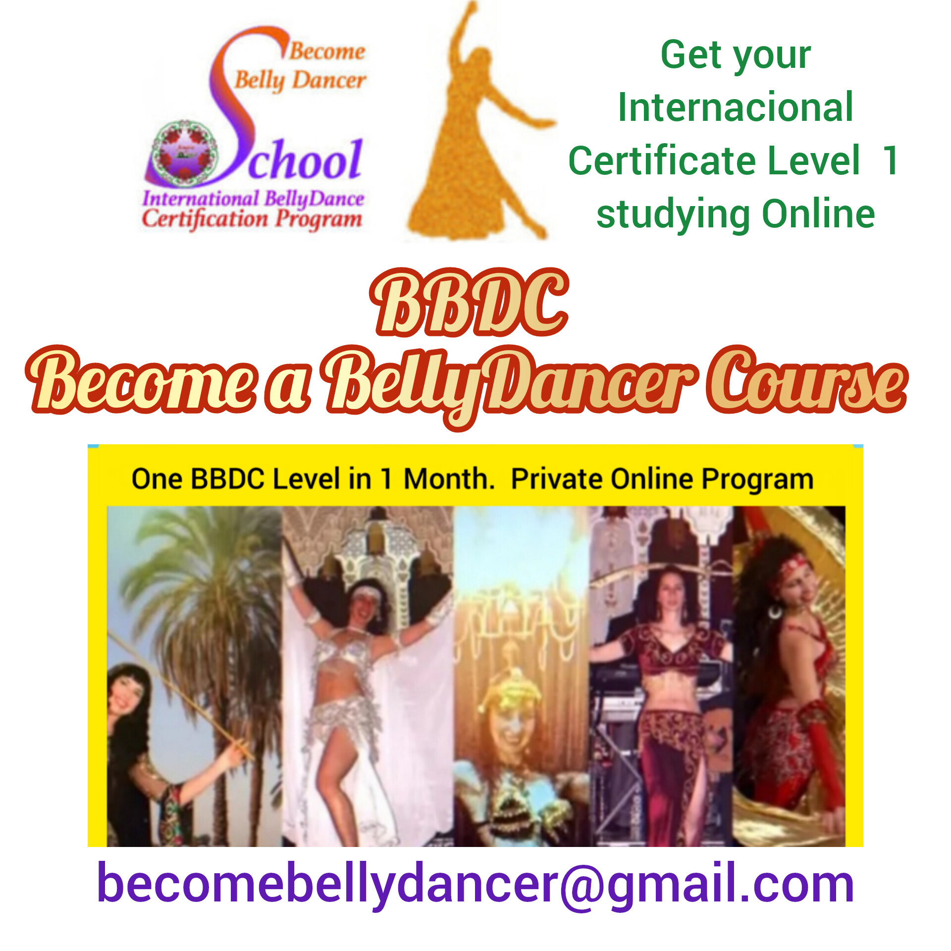 18h BBDC Level 1 Online Private BellyDance Course. One month program or 3 months program? You choose.
