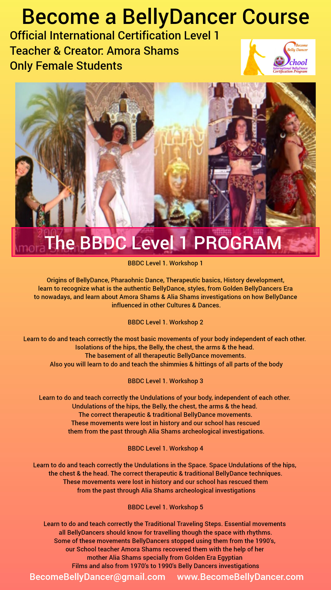 Private 7 weeks Level 1 Become a BellyDancer Course