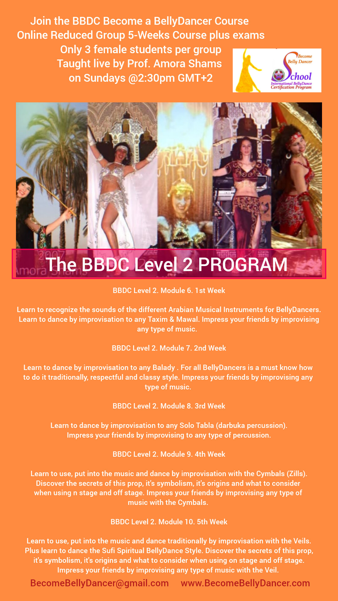 BBDC-L2-5W - BBDC Level 2 Become a BellyDancer Course Reduced online group