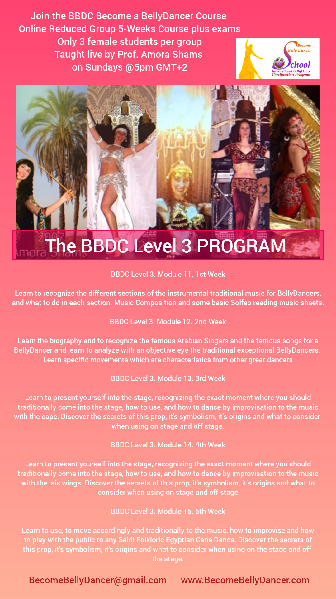 BBDC-L3-5W - Become a BellyDancer Course Level 3