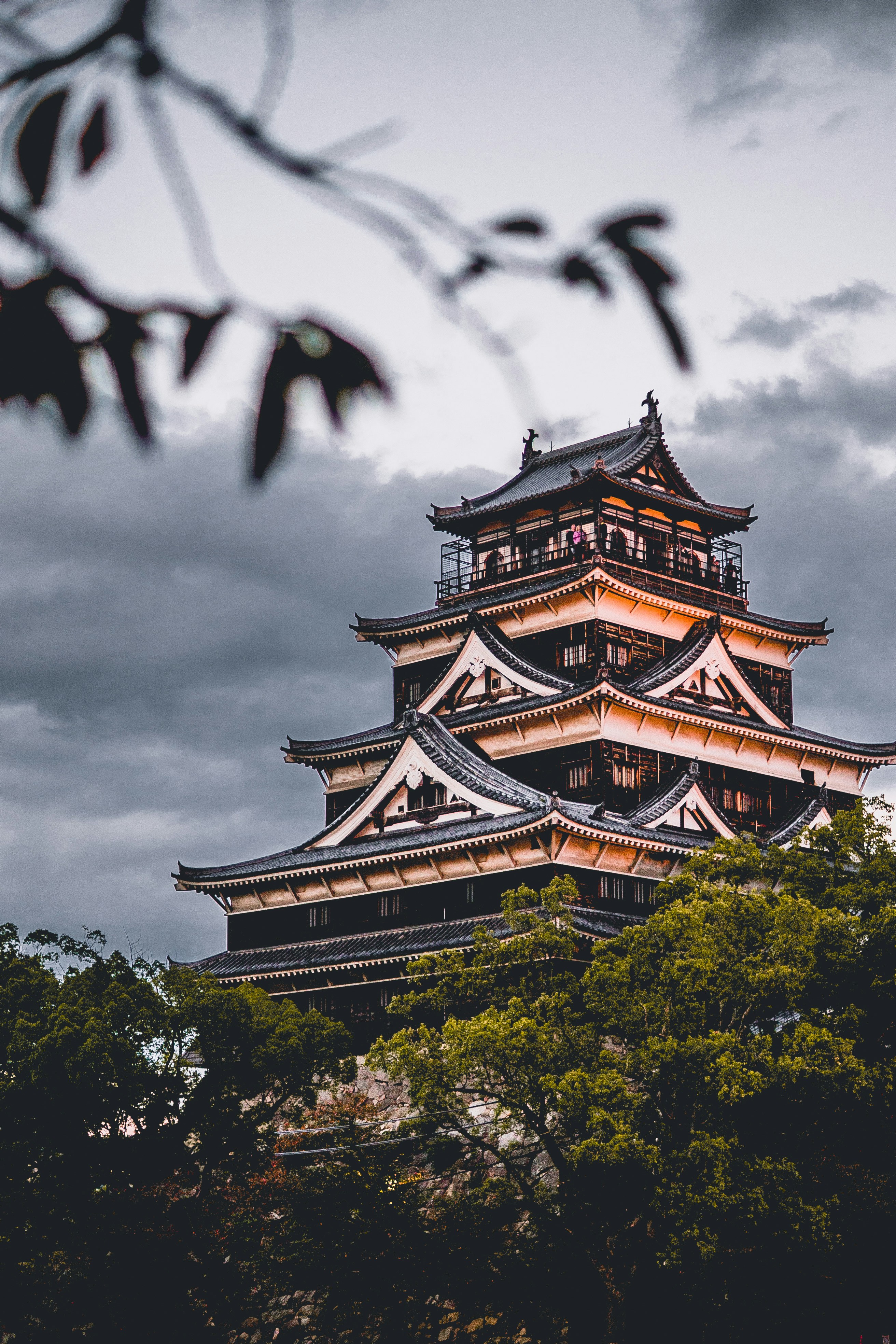 Japanese 101 Beginner 