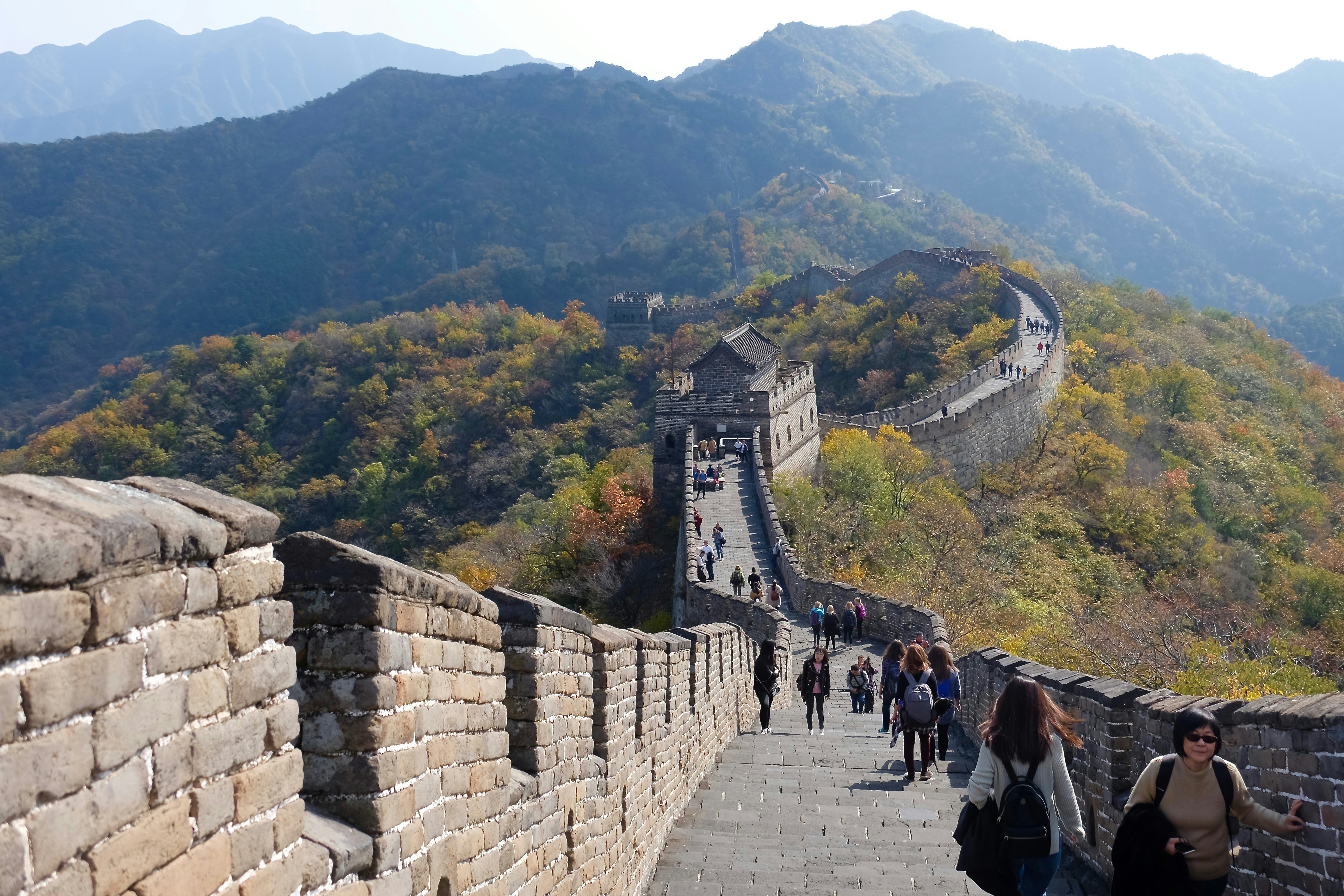 Chinese 101 Beginner Saturdays