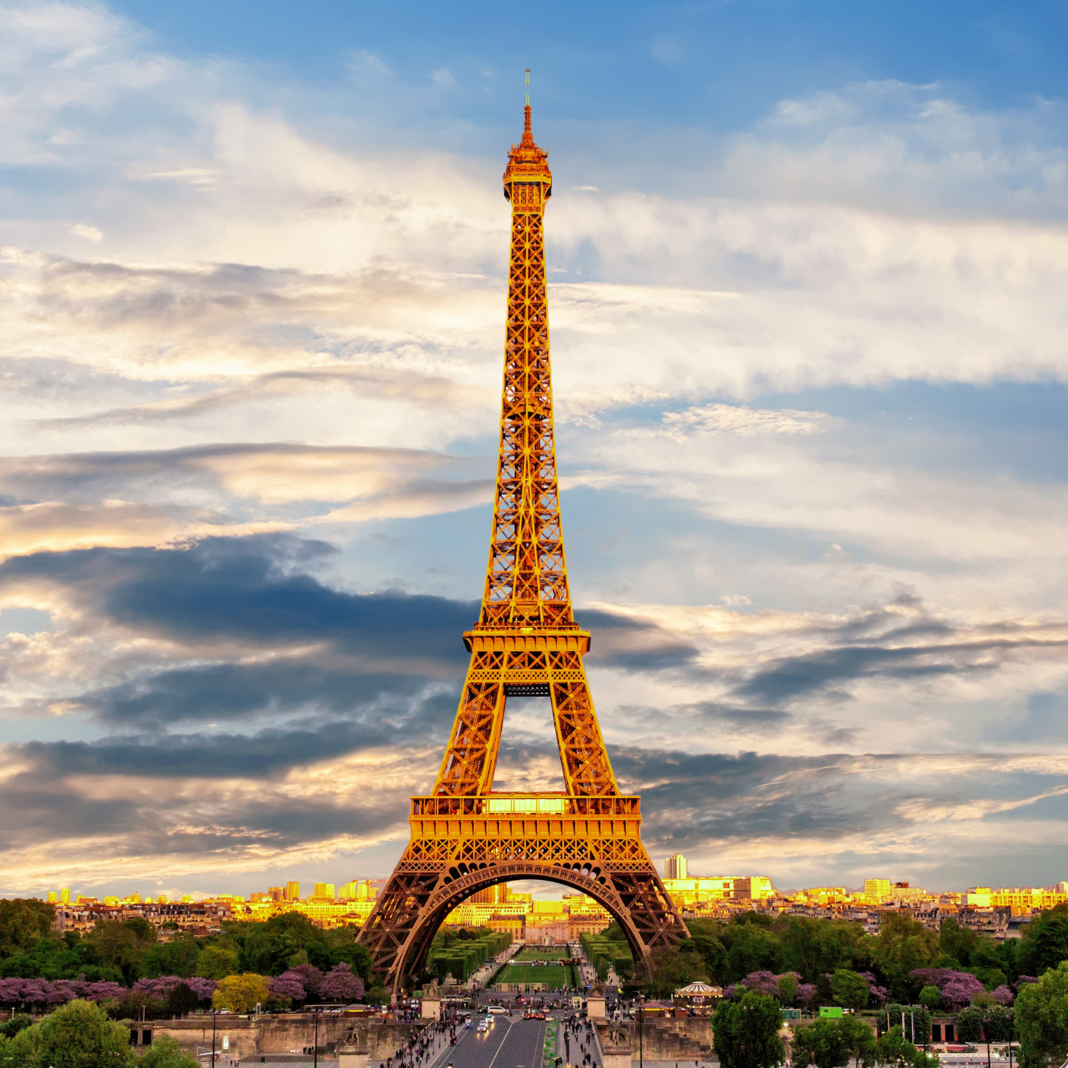 French 101 Beginner 1 (Teens)
