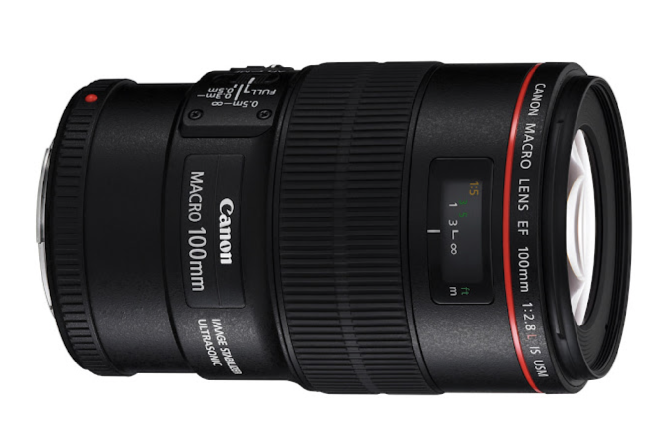 CANON 100mm F2.8 L Macro IS