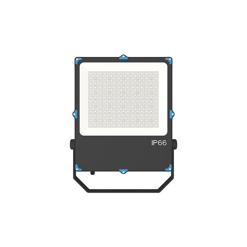 LED Flood Light