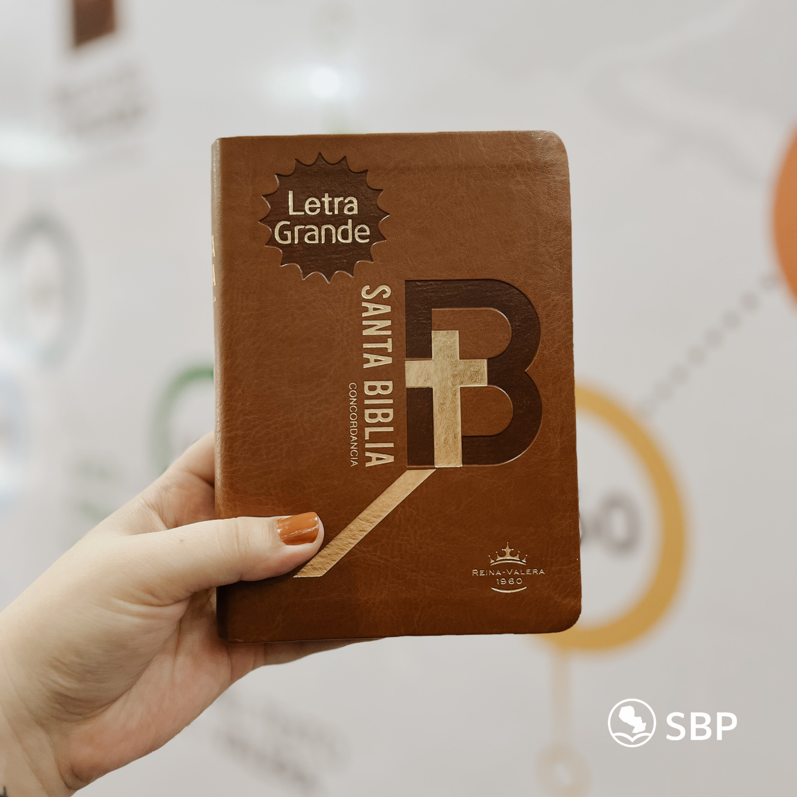 Biblia Reina Valera 1960 – Letra Grande (Tamaño Pequeño)