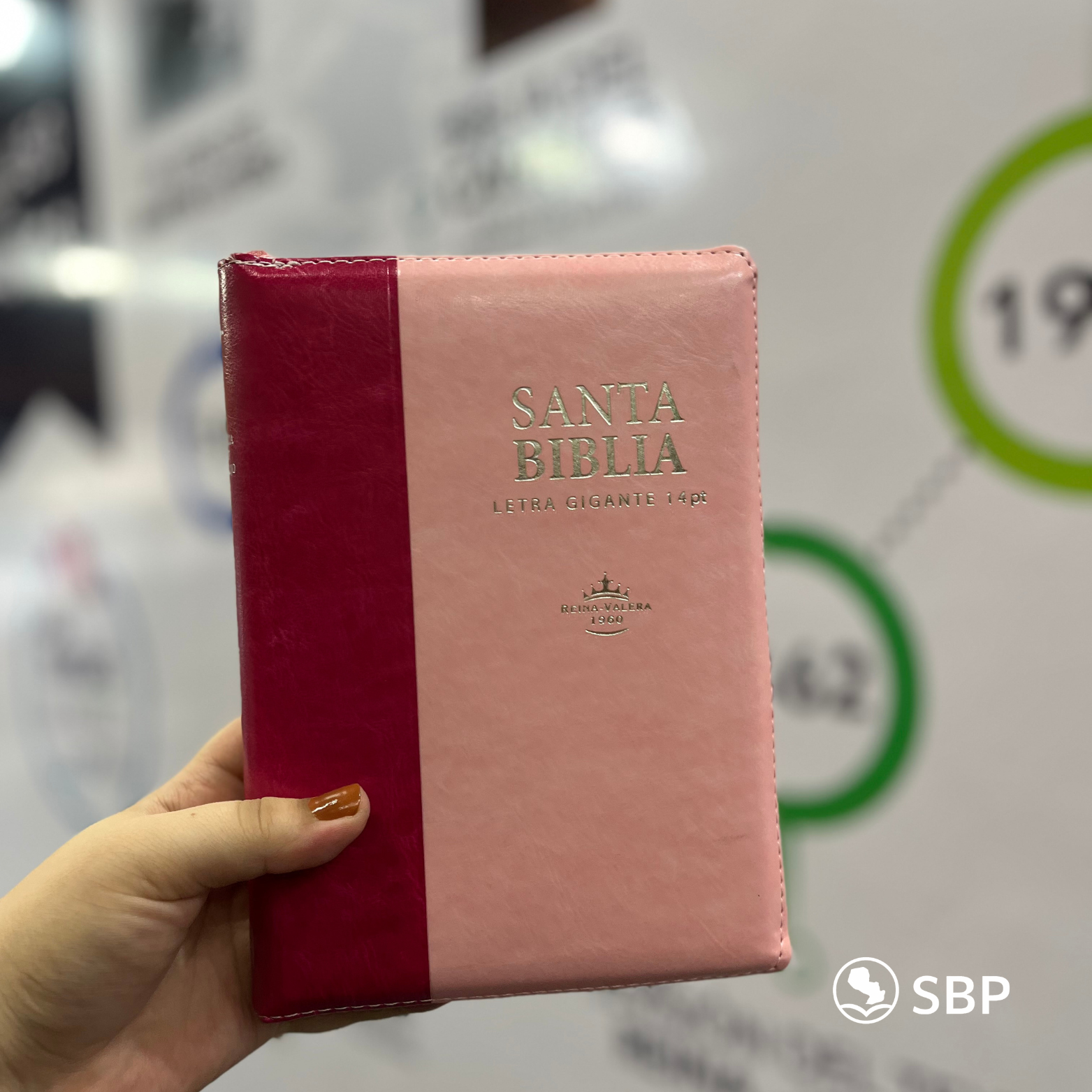 Biblia Reina Valera 1960 – Letra Gigante con Cierre