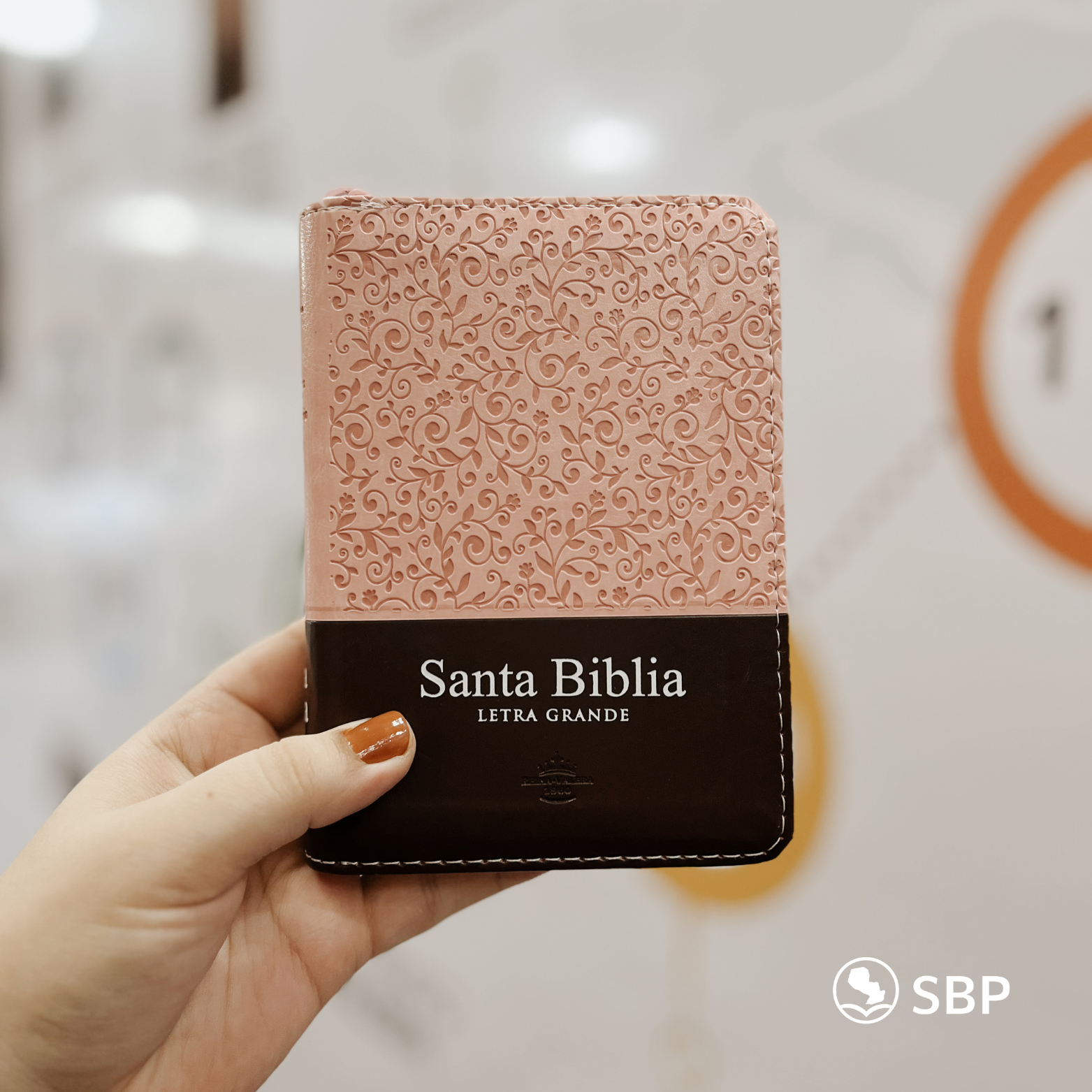 Biblia Reina Valera 1960 – Letra Grande con Cierre (Tamaño Pequeño)