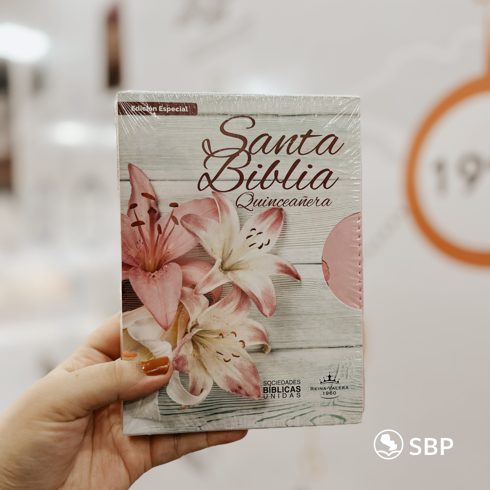 Biblia Reina Valera 1960 – Quinceañera con Cierre