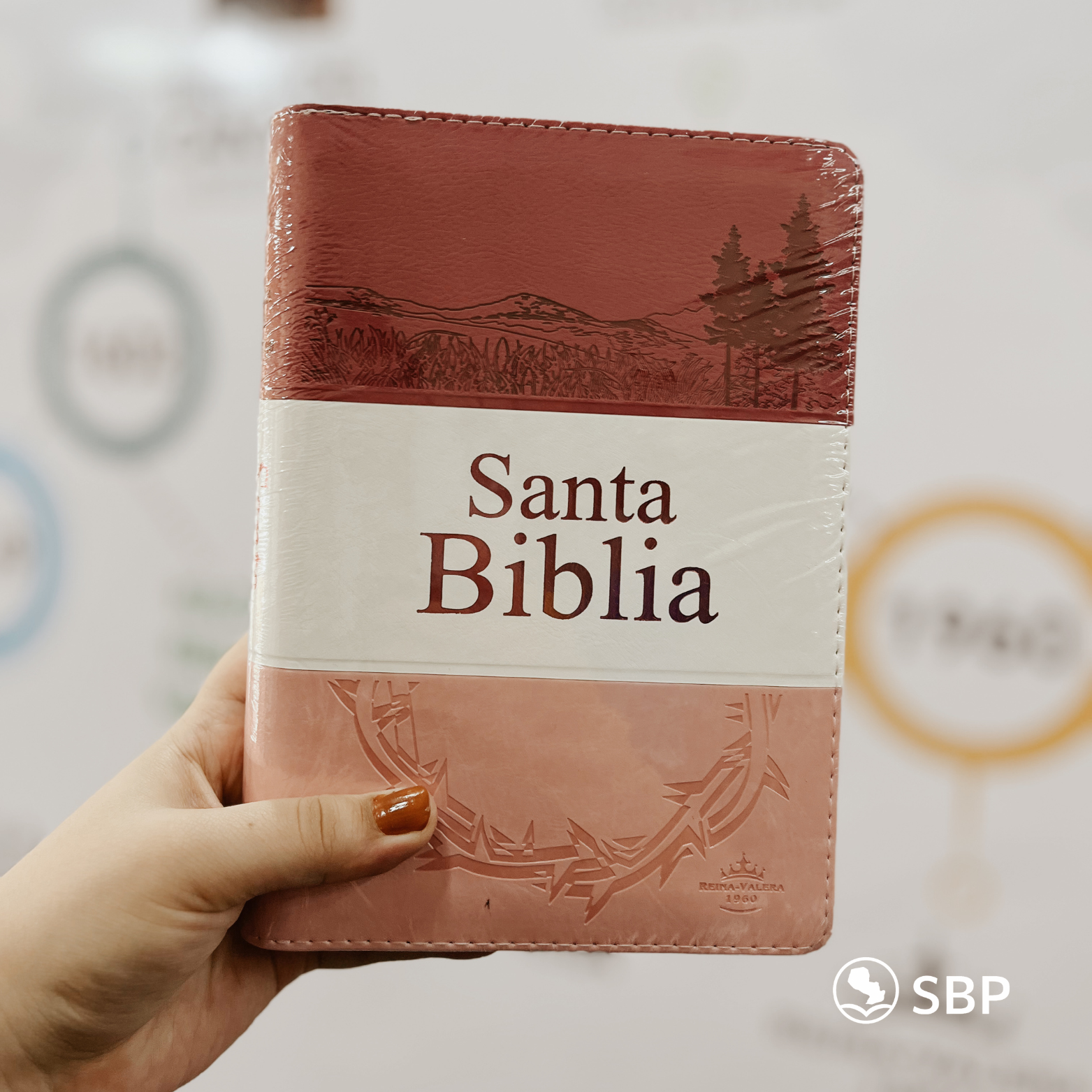 Santa Biblia – Letra Grande Rosa