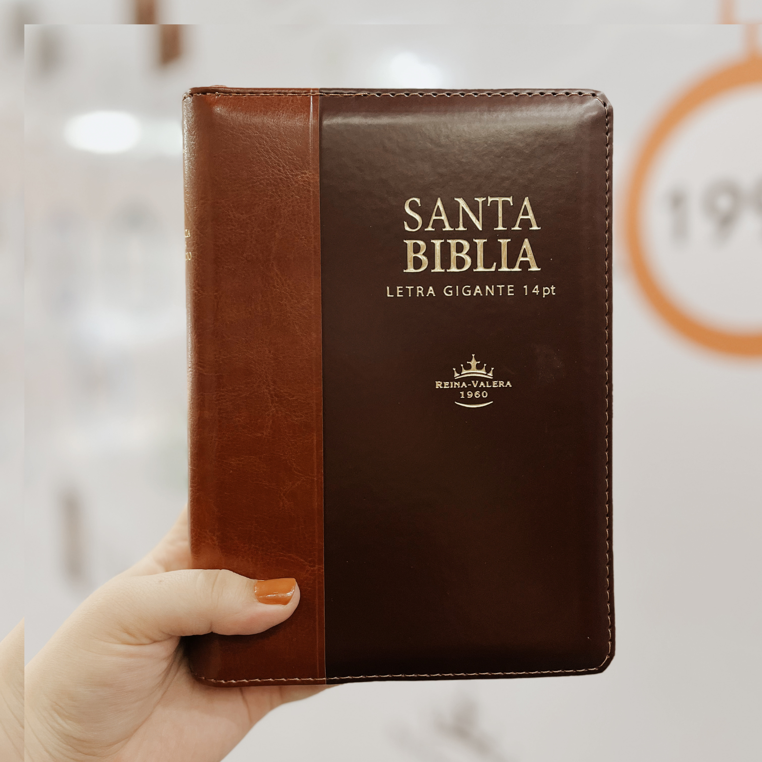Biblia Reina Valera 1960 – Letra Gigante 14pt con Cierre