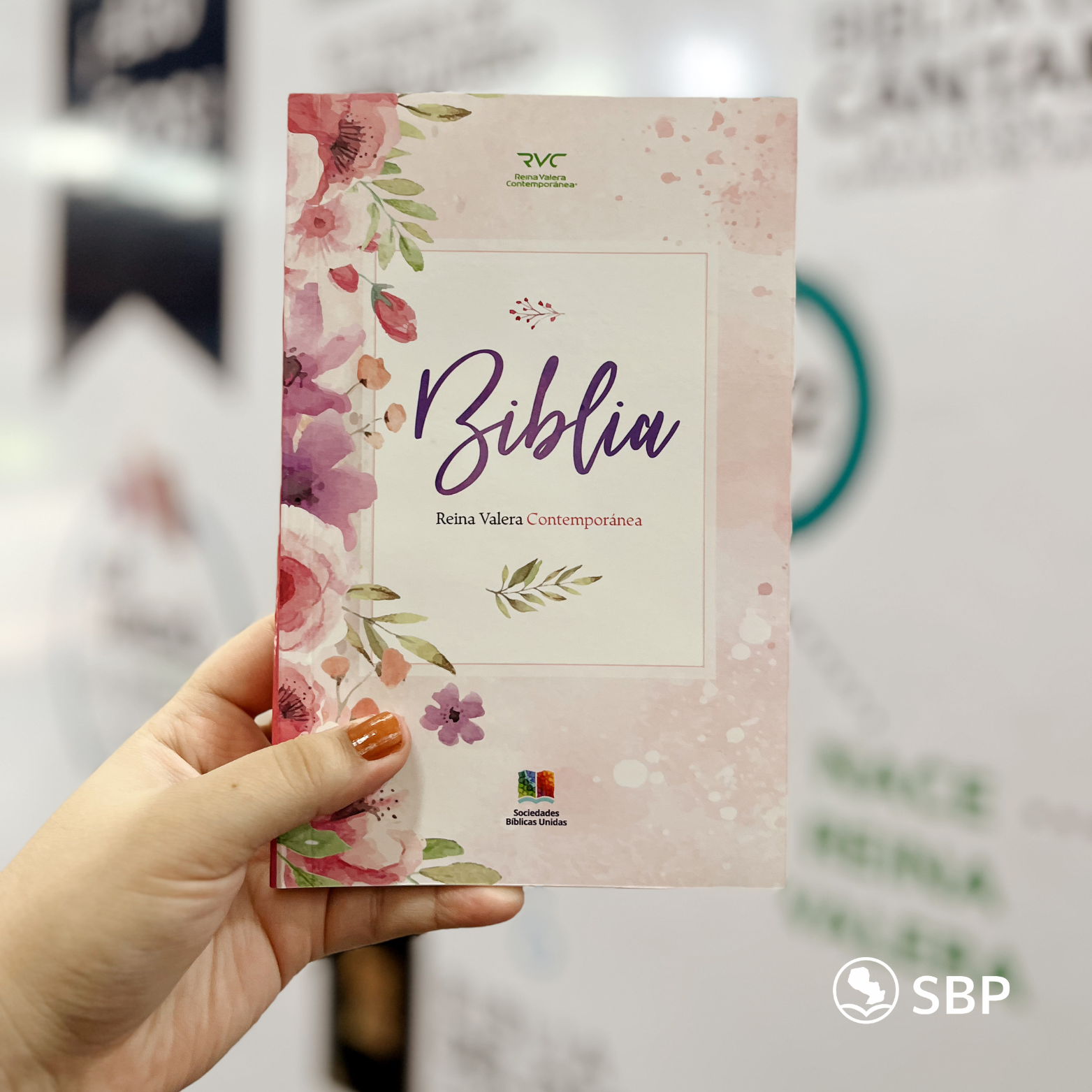 Biblia Reina Valera Contemporánea – Económica Rosa
