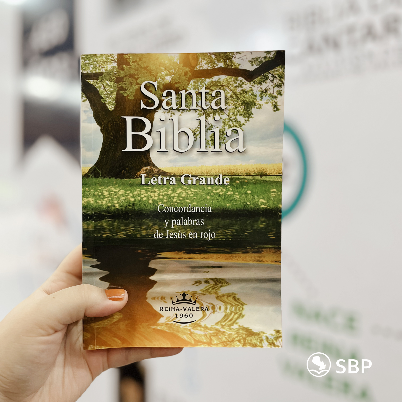 Biblia Reina Valera 1960 – Letra Grande con Concordancia