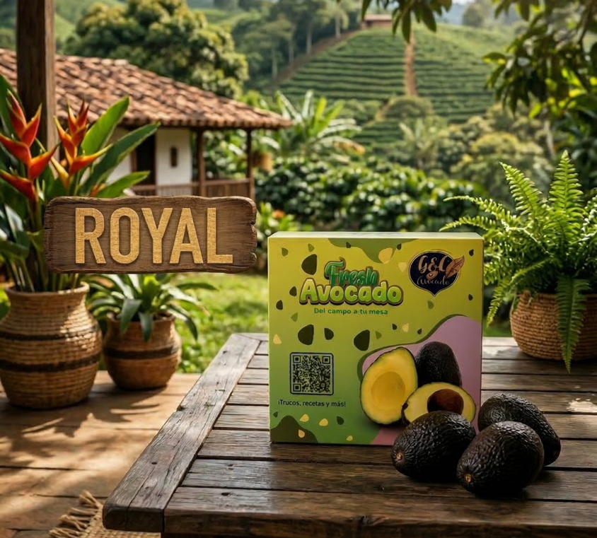 Caja ROYAL de Aguacate Hass