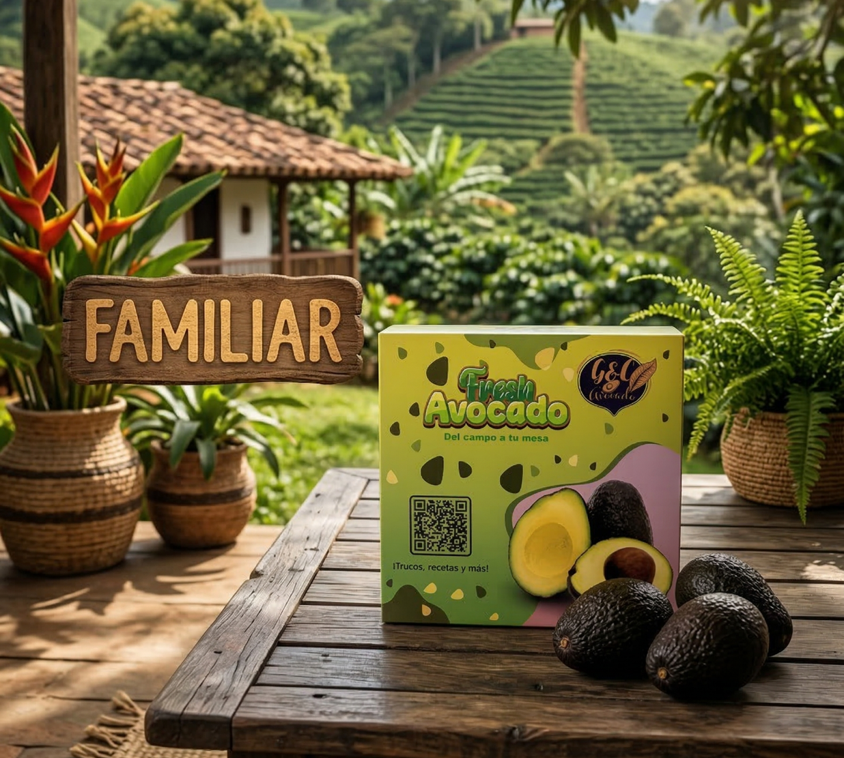 Caja FAMILIAR de Aguacate Hass