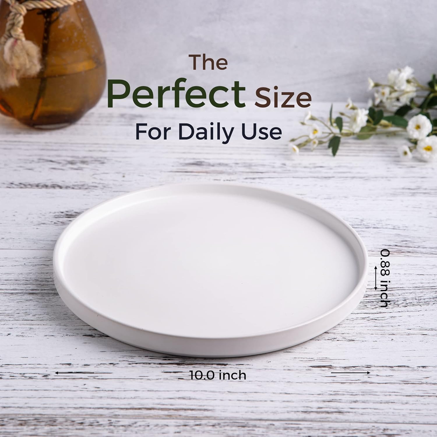 Ellipse small plate 6 pieces