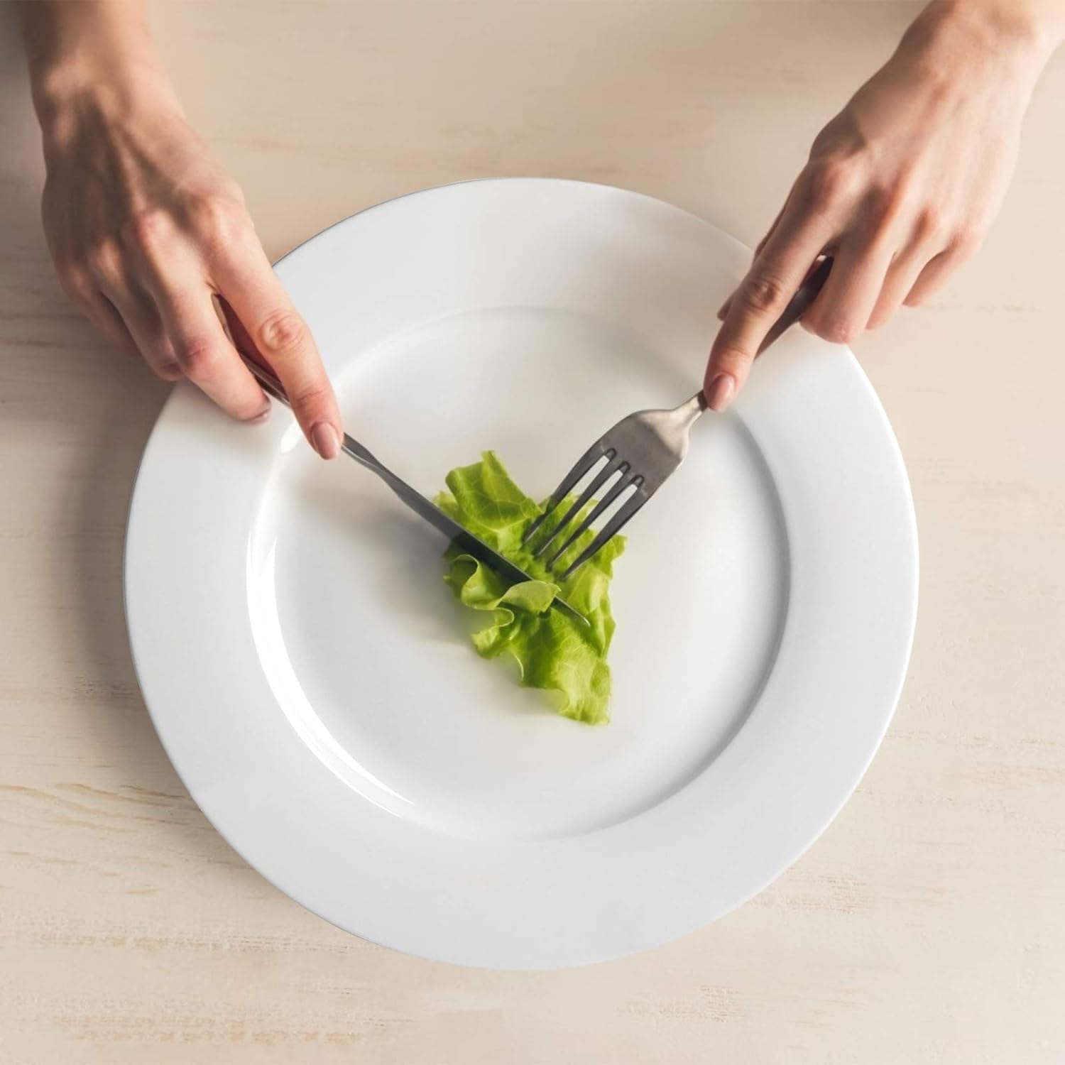 Large Rim Plate 12 Pieces 25 cm