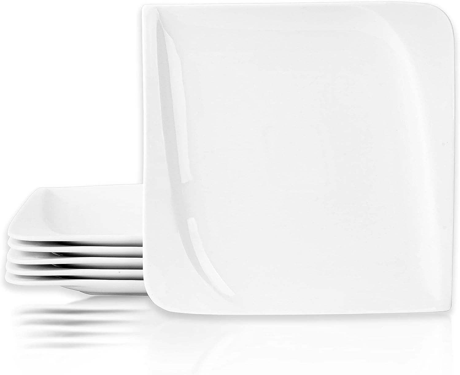 Large Dinner Plate 6 Pieces