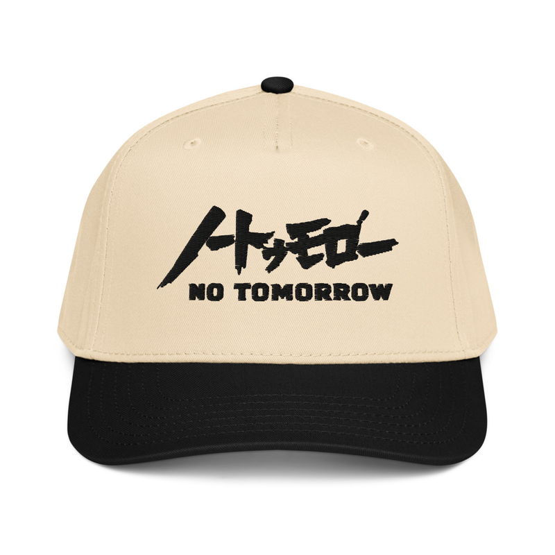 Berserk // No Tomorrow 5 Panel 2-Tone