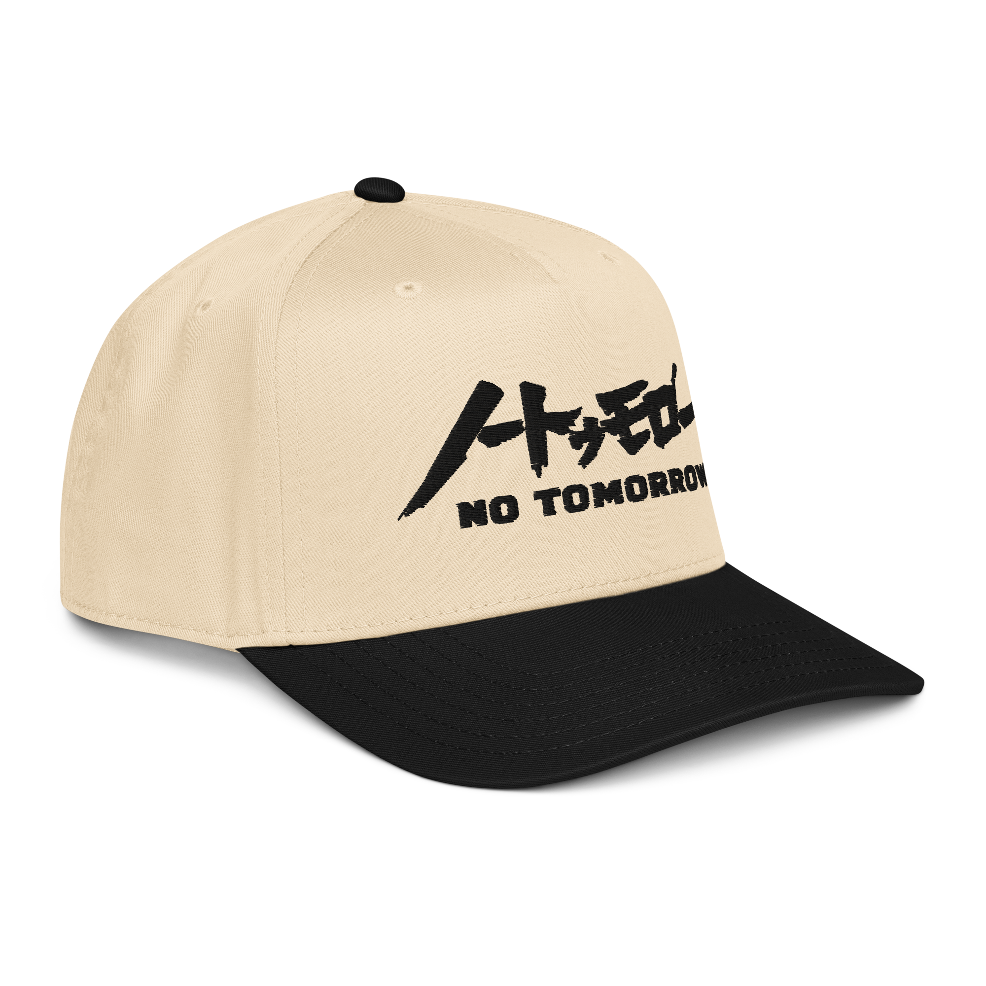 Berserk // No Tomorrow 5 Panel 2-Tone