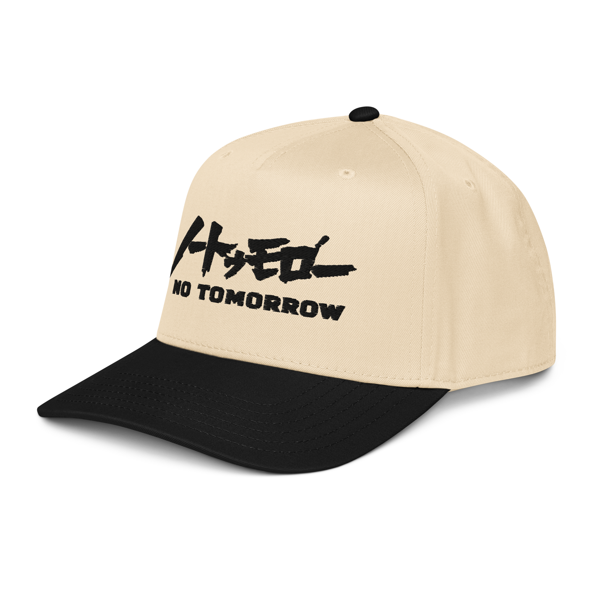 Berserk // No Tomorrow 5 Panel 2-Tone