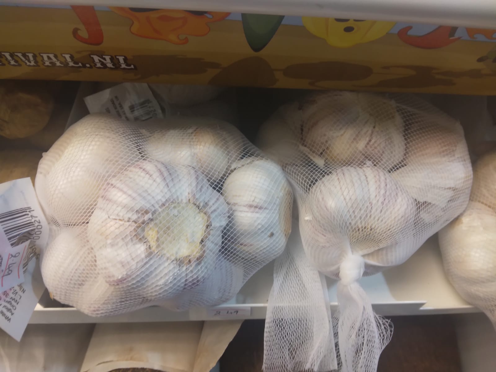 Garlic Bulbs