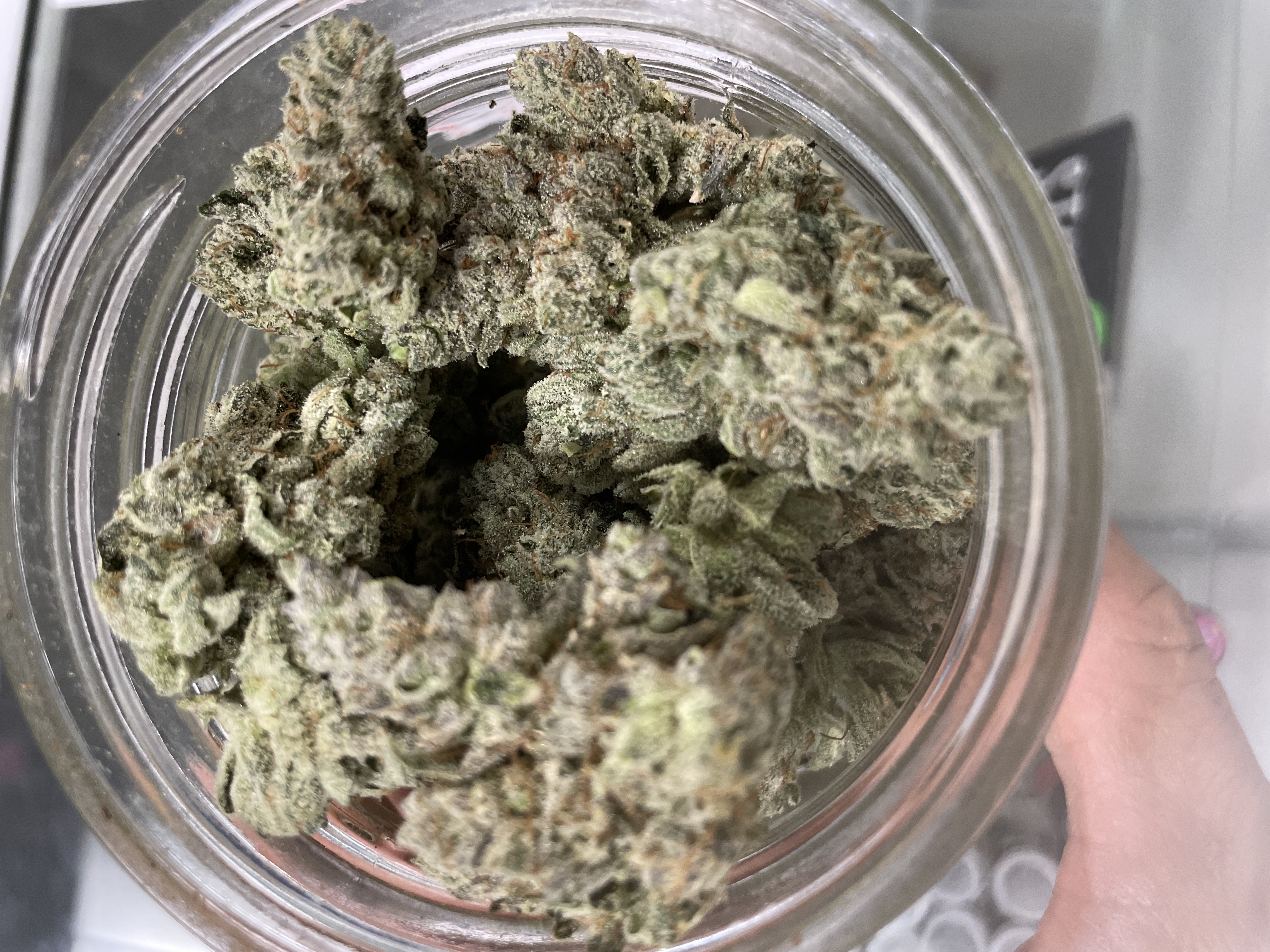 Premium Cannabis Buds