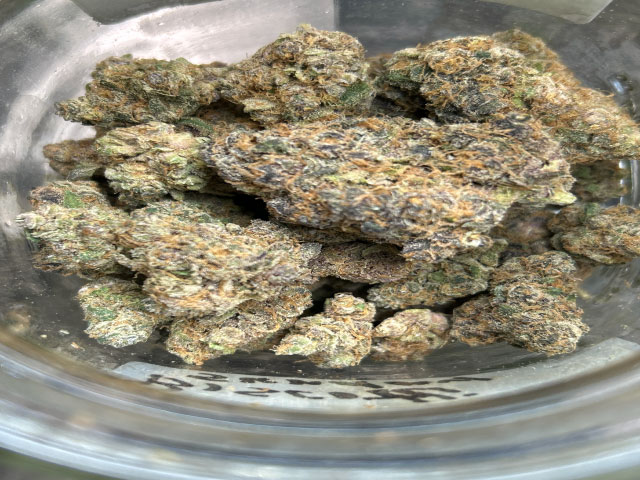Premium Cannabis Buds