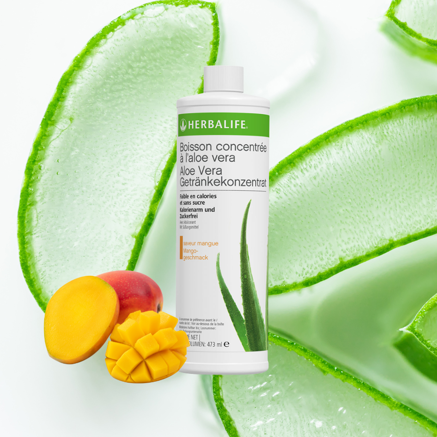 Aloe Mangue