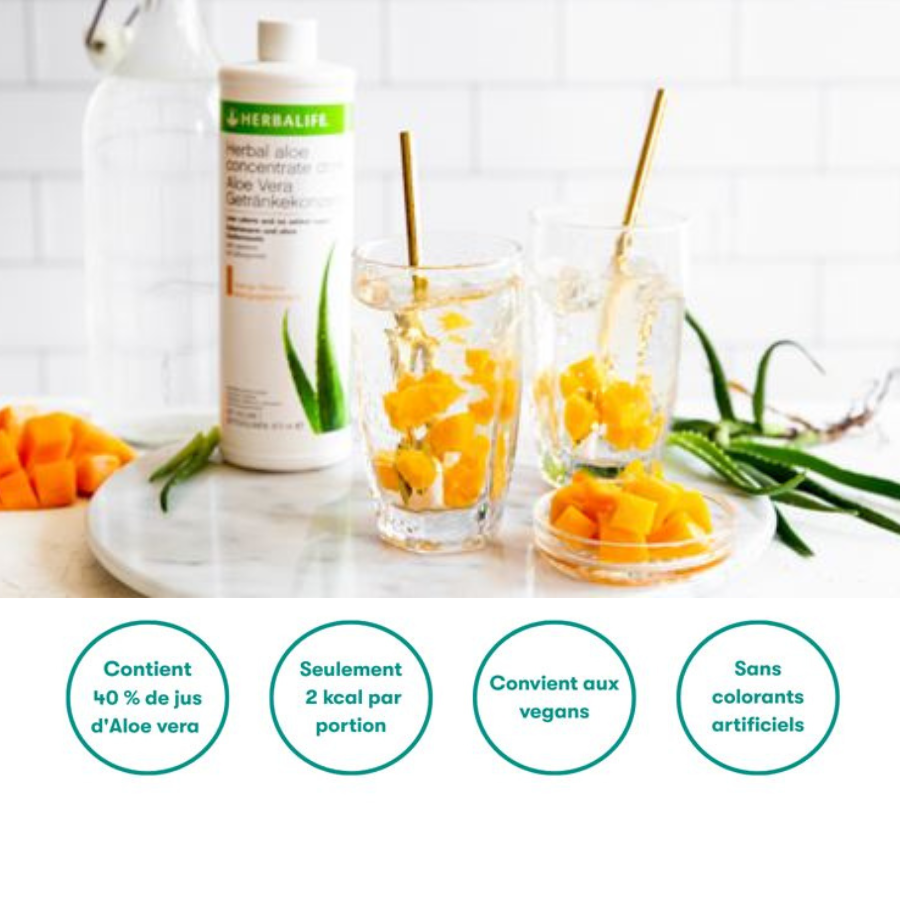 Aloe Mangue