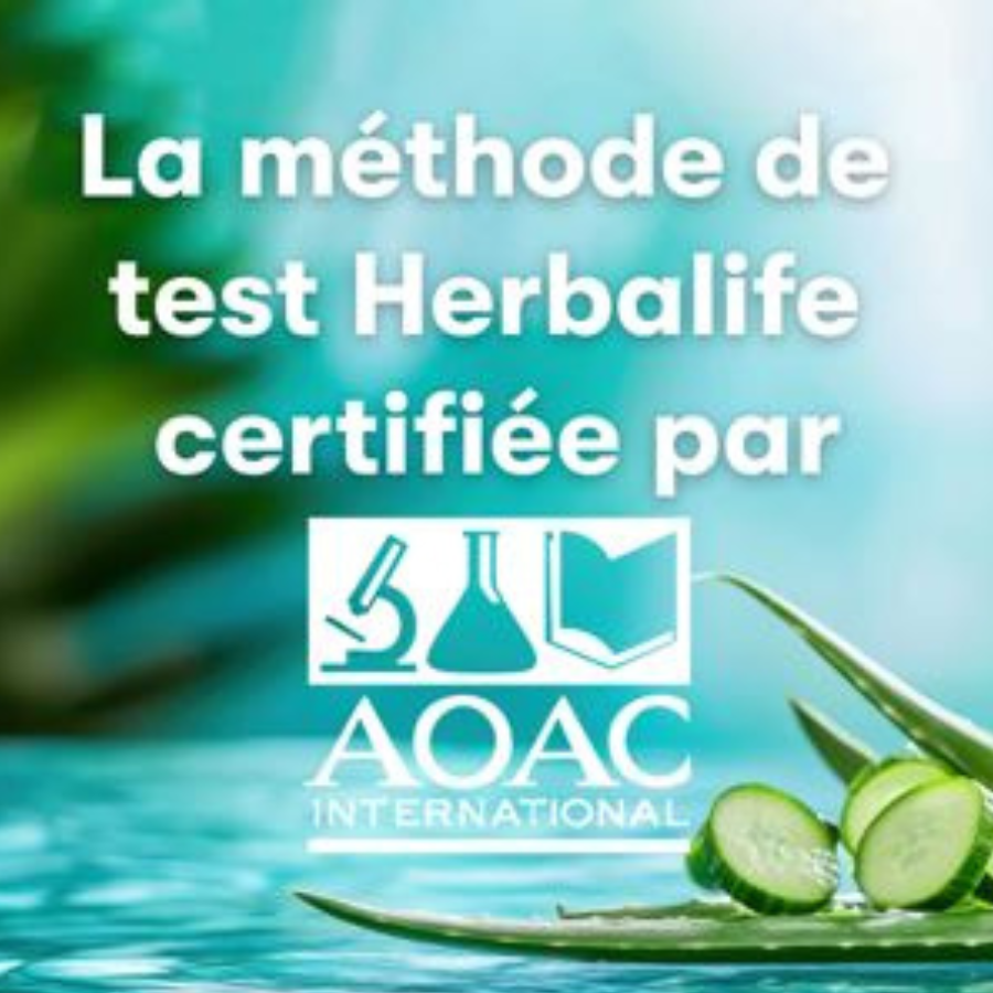 Aloe Mangue