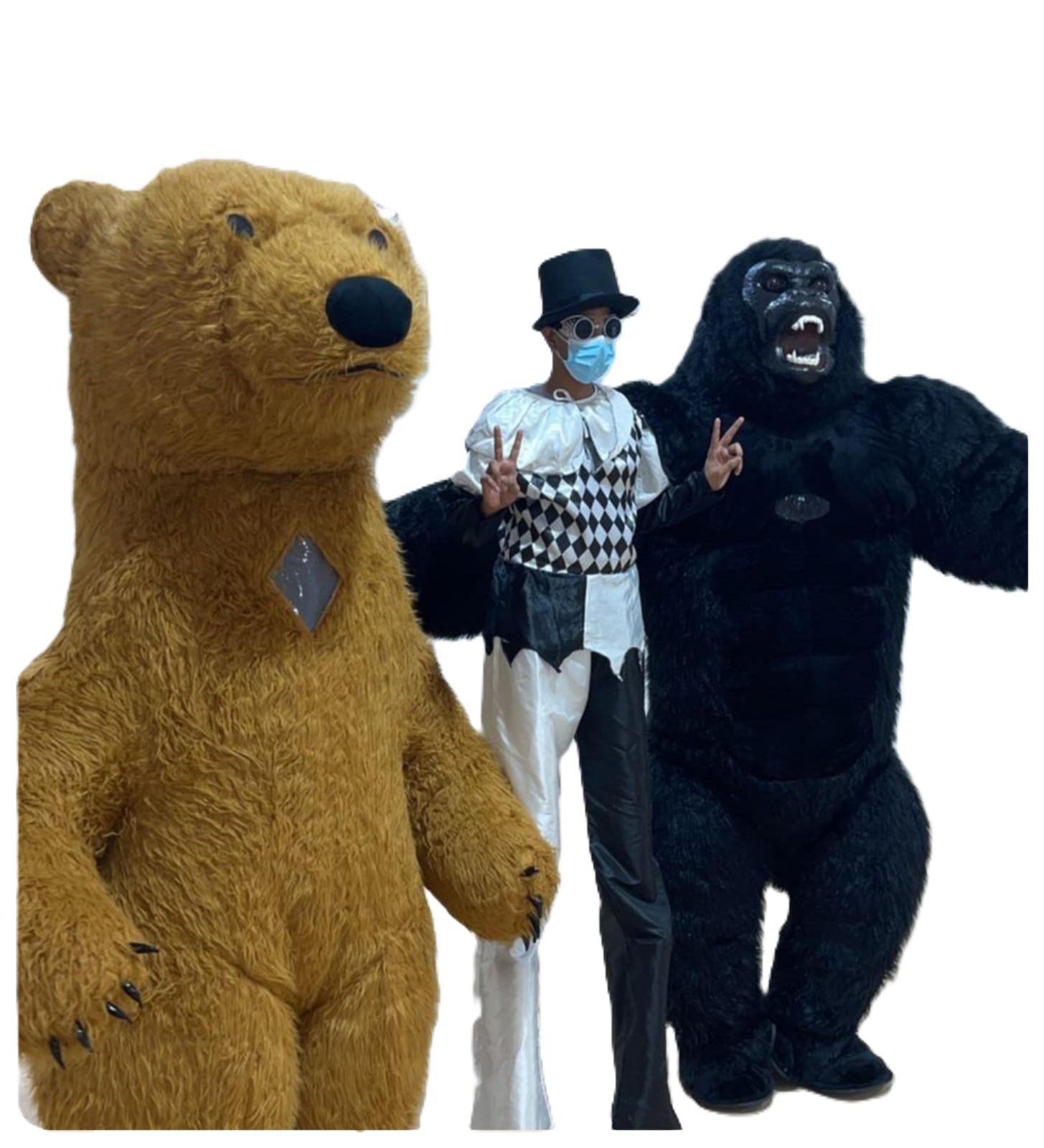 Bear Mascot