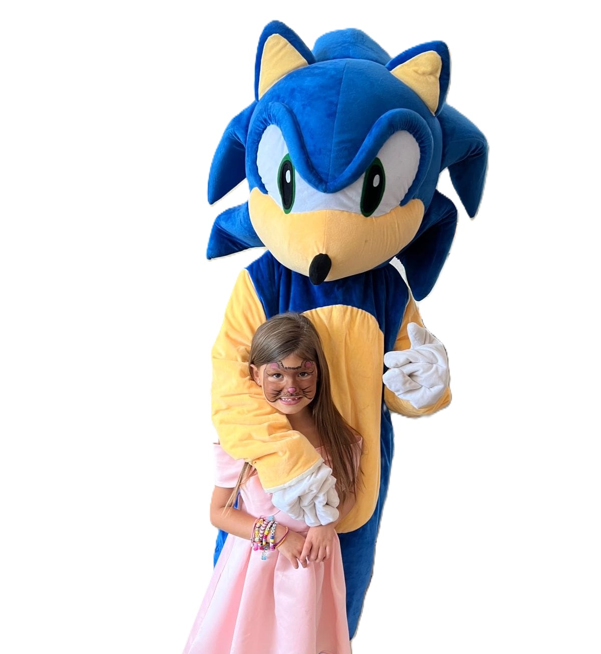 Sonic Mascot