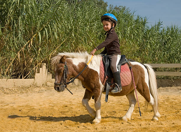 Pony Horse Ride for Kids