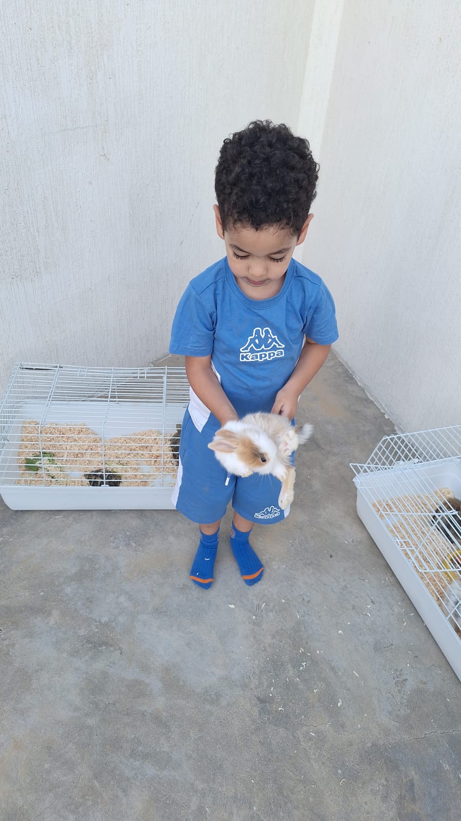 Petting Zoo